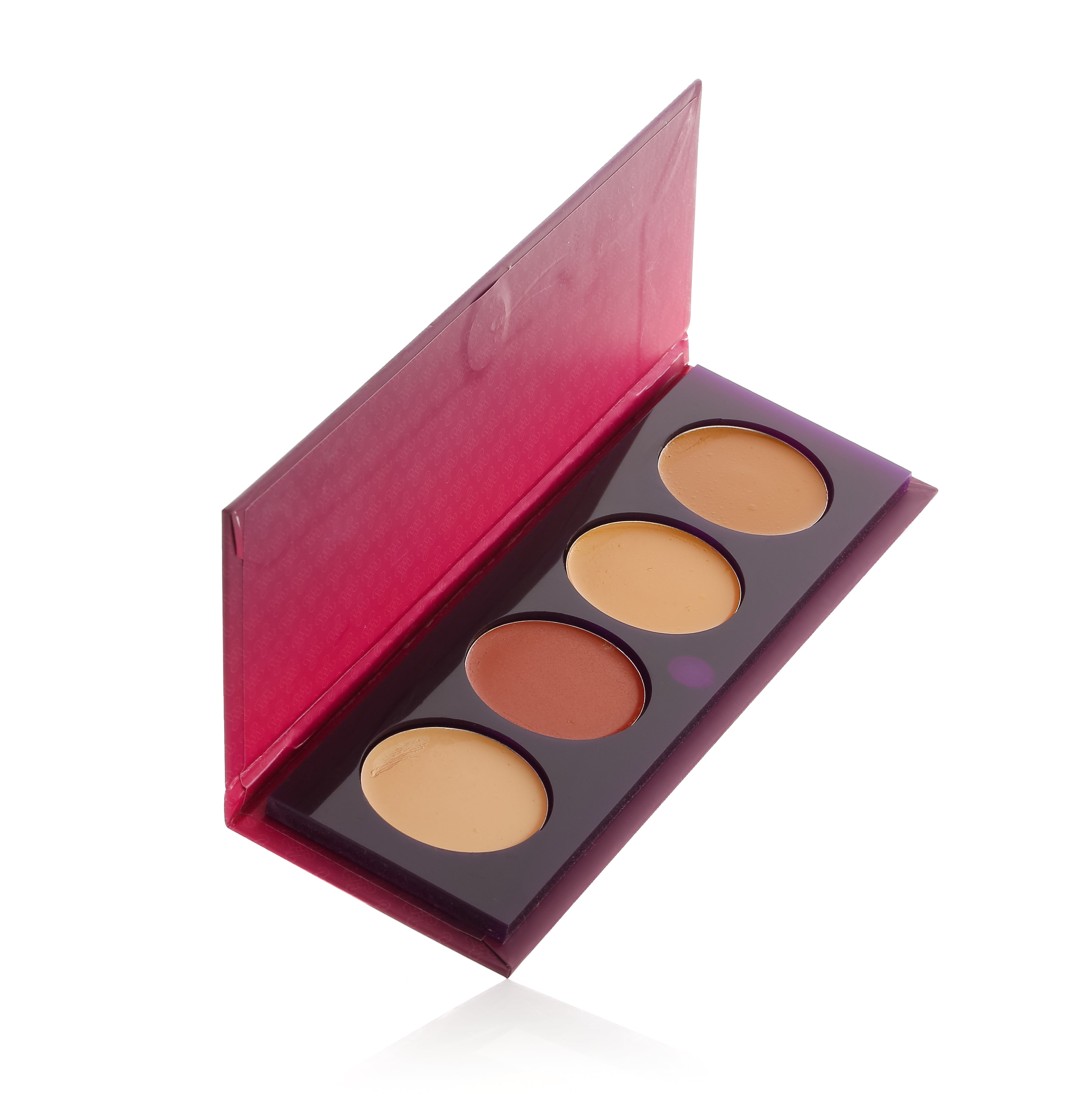 Correct & Conceal Palette 1