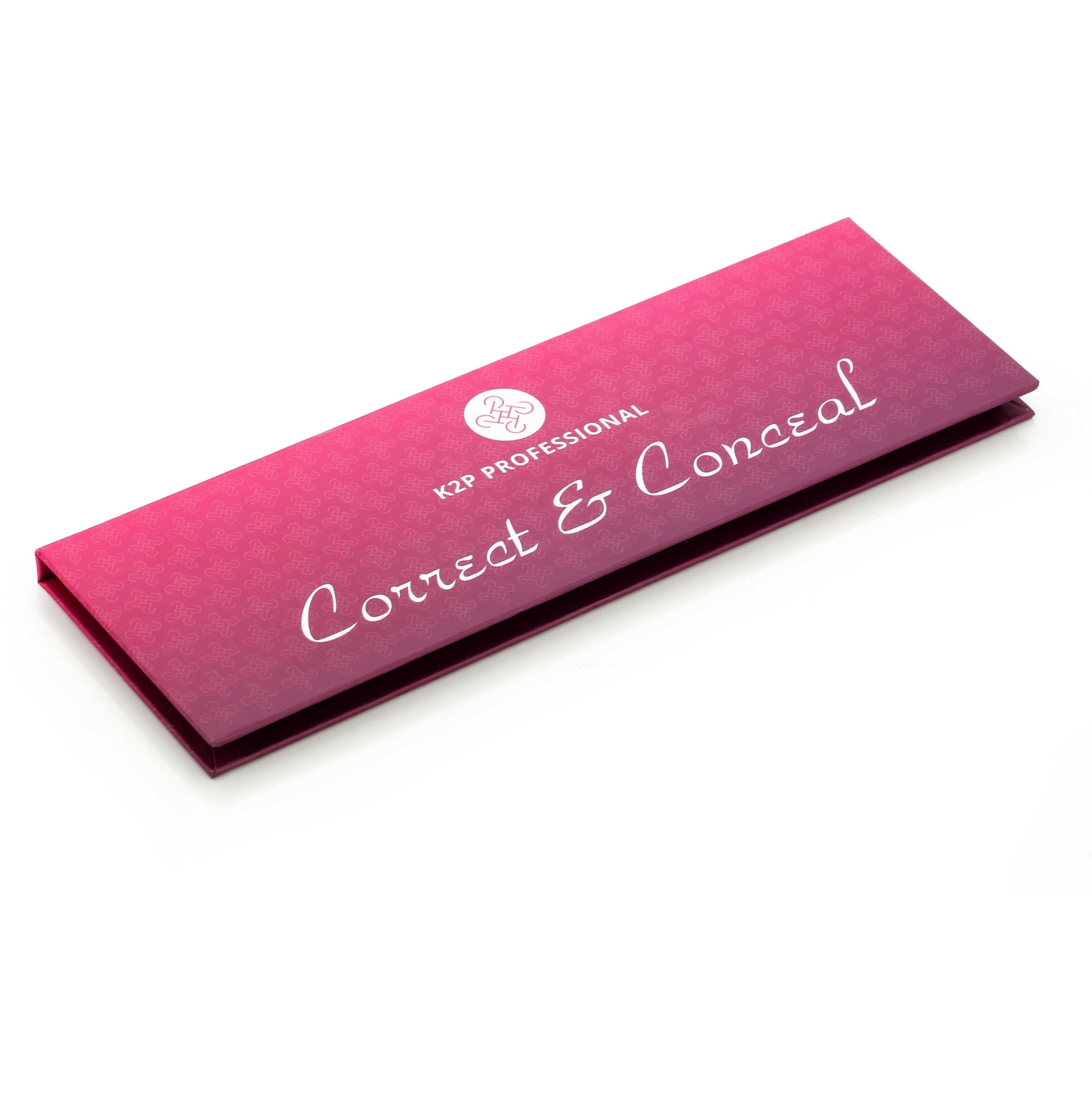 Correct & Conceal Palette 2